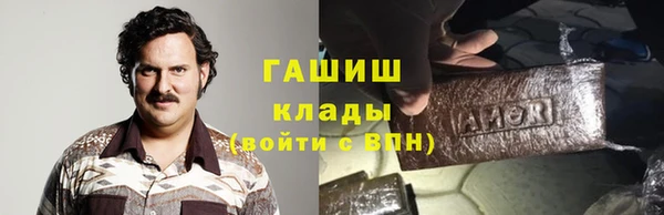 стаф Гусев