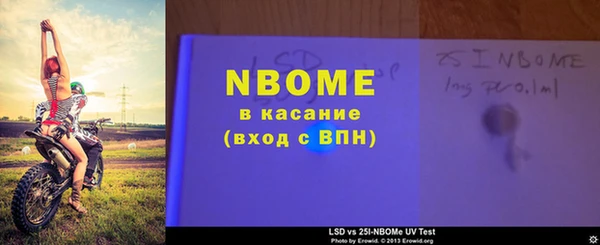 стаф Гусев
