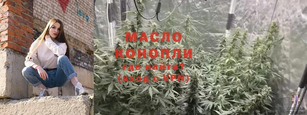 стаф Гусев