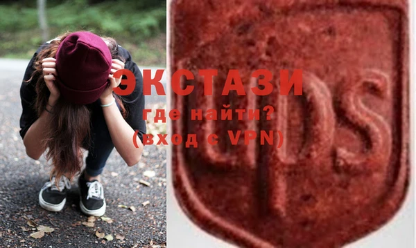 стаф Гусев