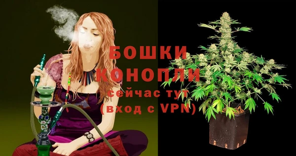 стаф Гусев
