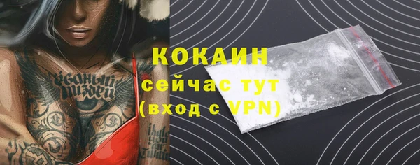 стаф Гусев