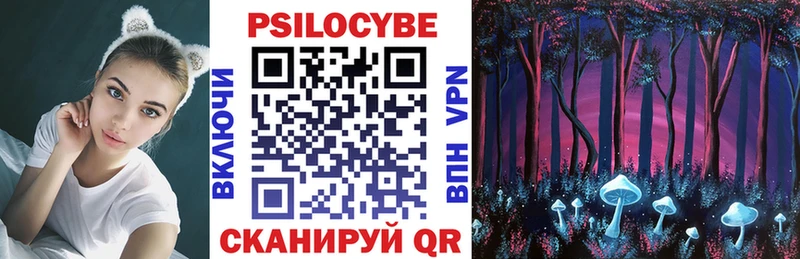 Псилоцибиновые грибы Psilocybe  Юрюзань 